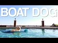 boat dog