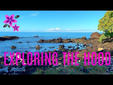 Video: Menjelajah Kohala Utara di Pulau Hawaii