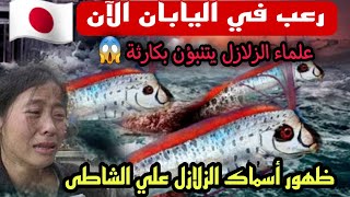 ⚠️عاجل  رعب في اليابان? ظهور اسماك الزلزال الخطيرة وتوقعات بحدوث زلزال وتسونامي