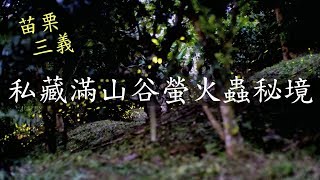 苗栗旅遊螢火蟲季》探尋滿山螢火蟲的私密點| 蔡劭TsaiShau