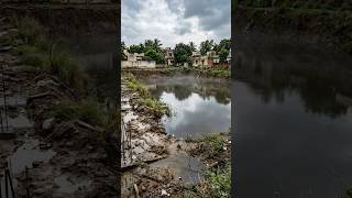 Modern House on Reclaimed Land | Draining Water, Land Fill &amp; Full Construction Process