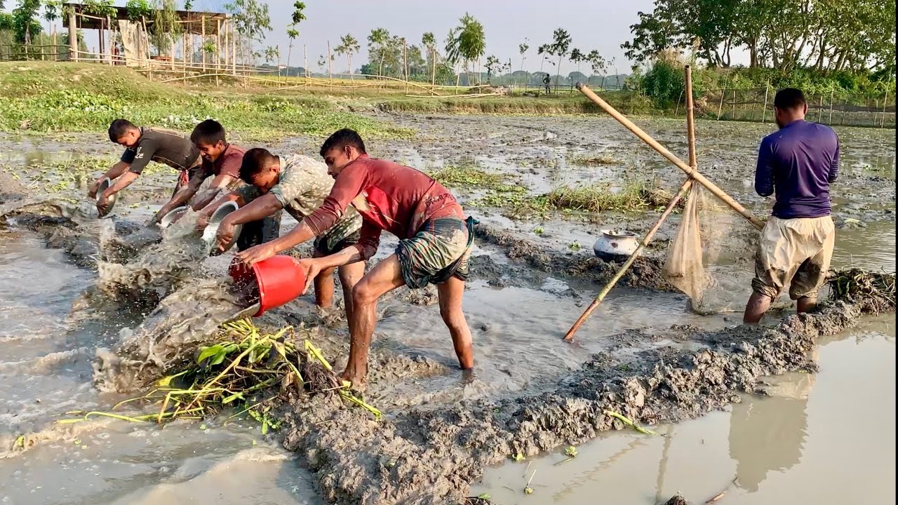 গ্রামের এ বছরের সেরা মাছ ধরার ভিডিও। অসাধারণ সুন্দর মাছ ধরার ভিডিও। best new village fishing video.