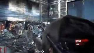 Call  of Duty 5  De Riese Glitch Invincible to Hell  Hounds
