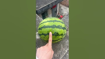 Experiment: Will the watermelon explode when it rolls down in a high-rise building?#shorts