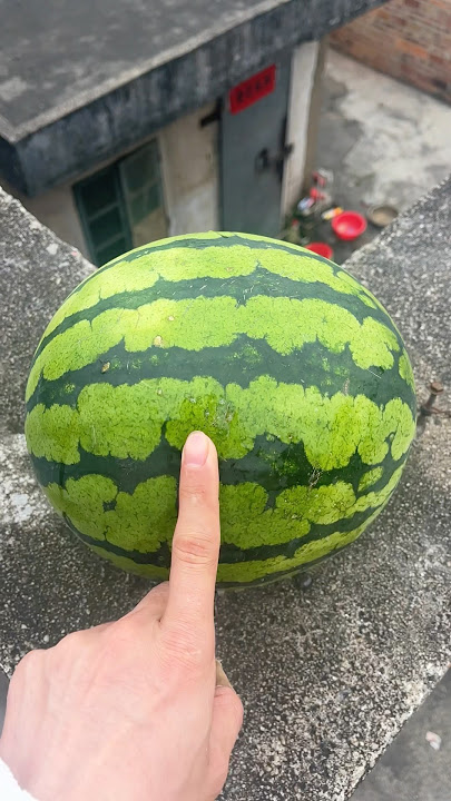 Experiment: Will the watermelon explode when it rolls down in a high-rise building?#shorts