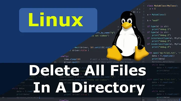Linux How To Delete All Files In A Directory