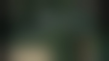 solo olm 4:1 melee hand guide