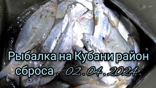 Рыбалка на сбросе тёплой Кубани 02.04.2024.