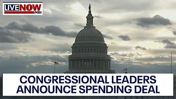 Government funding: Bipartisan deal that could avert shutdown released | LiveNOW from FOX