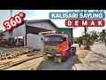 Suasana jalan di Desa Kalisari Sayung Demak | Video 360 Derajat