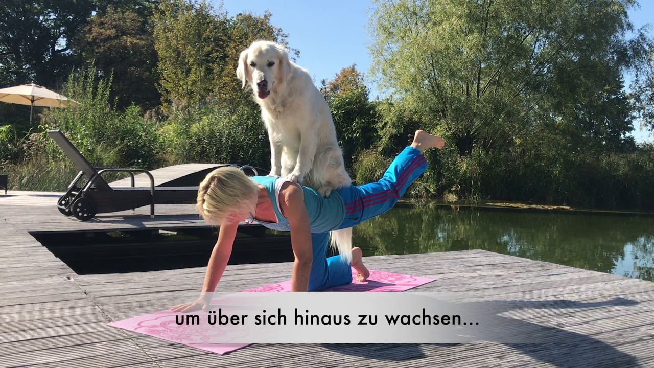 Yoga mit Hund Trailer Yoganastricks YouTube