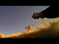 Colorado man exposes himself before taking NMSP on multiple pursuits