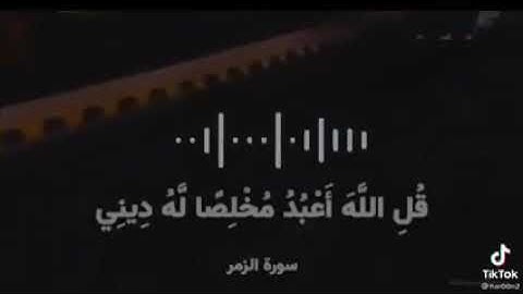 الآيتين من سورة الزمر 10 الي 15 بصوت الشيخ حسن صالح