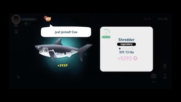 All Paradise Island Fish Caught (Including Shredder) for May 2023