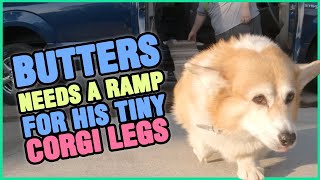 Everytime Ers Comes To Visit, Buffy Goes Crazy