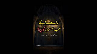 Raat Ko Masjid Me Kon Sajda Karta Hai? | Muslim Jinn#historybytes #shorts
