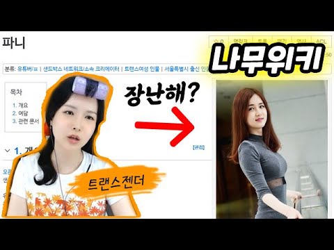 자신의 나무위키를 본 트랜스젠더
