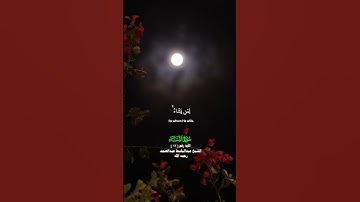 ان الله لا يغفر أن يشرك به ويغفر مادون ذلك_سورة النساء_تلاوة عذبة_الشيخ عبدالباسط عبدالصمد رحمه الله