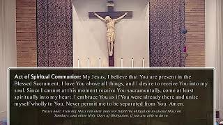 Saturday Mass: Saturday of the Eighth Week in Ordinary Time