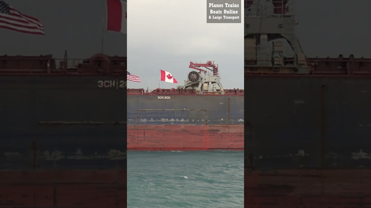 #shorts Canadian Ship 225M Algoma Niagara In St Clair River