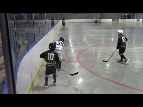 Attempt 3  _ Sasha's Ball Hockey Game on June 28, 2026