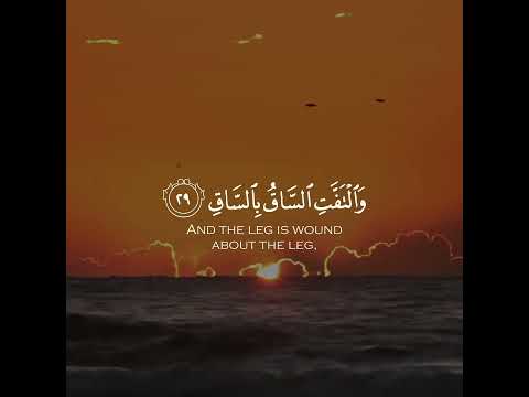 والتفت الساق بالساق ادريس ابكر سورة القيامة