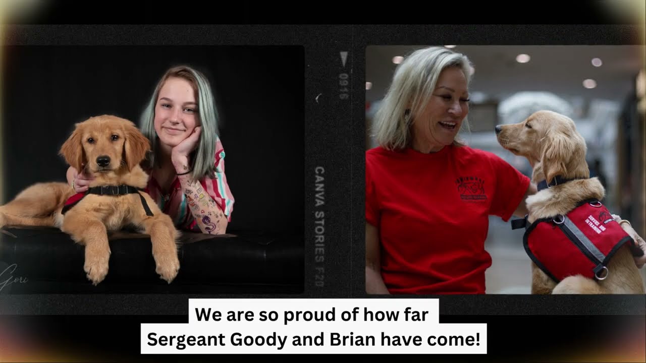 K9 Huddle Brian and Sergeant Goody