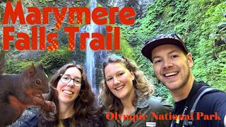 Marymere Falls Trail In Olympic National Park Lake Crescent, Barnes Creek, Wildlife, Old Growth