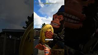 SERÁ QUE O MACACO FUNCIONOU? #games #gameplay #callofduty