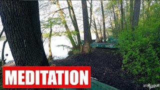 Forest Sounds Meditation - Poznań Poland - Nature Sounds - Work / Sleep / Relax