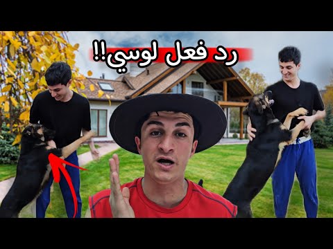 رجعت على العراق بعد غياب شهر رد فعلي كلبتي لوسي صدمني 