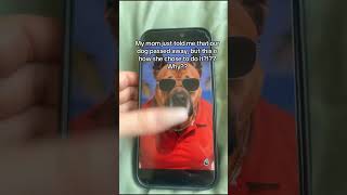 I hate it here #funny #ai #why #brianrot #shorts #aichatbot #reels