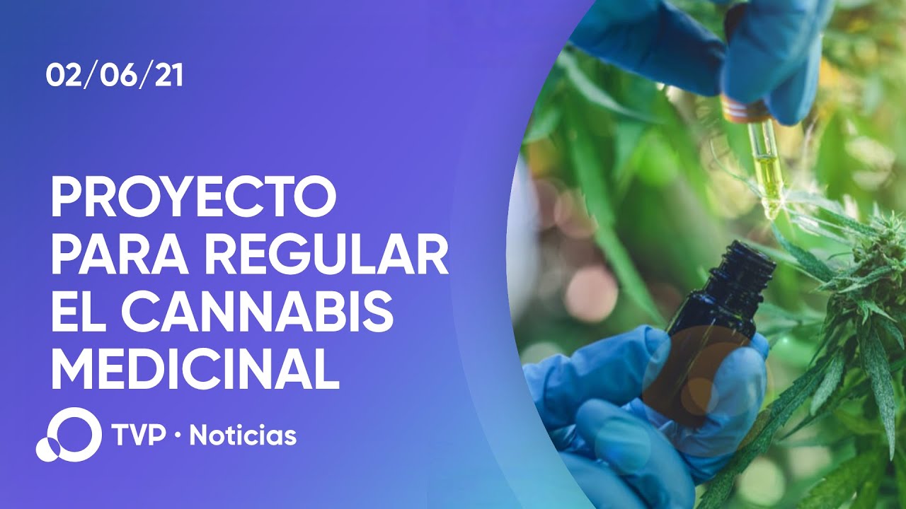Cannabis medicinal: el proyecto que busca regular la industria