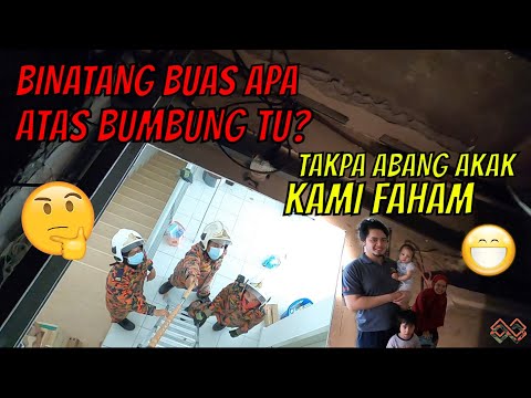 Video: Apakah nama tingkap di atas bumbung?