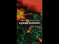 Enter Viega’s Summer Giveaway!