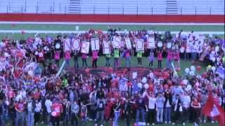 NHS LipDub 2012