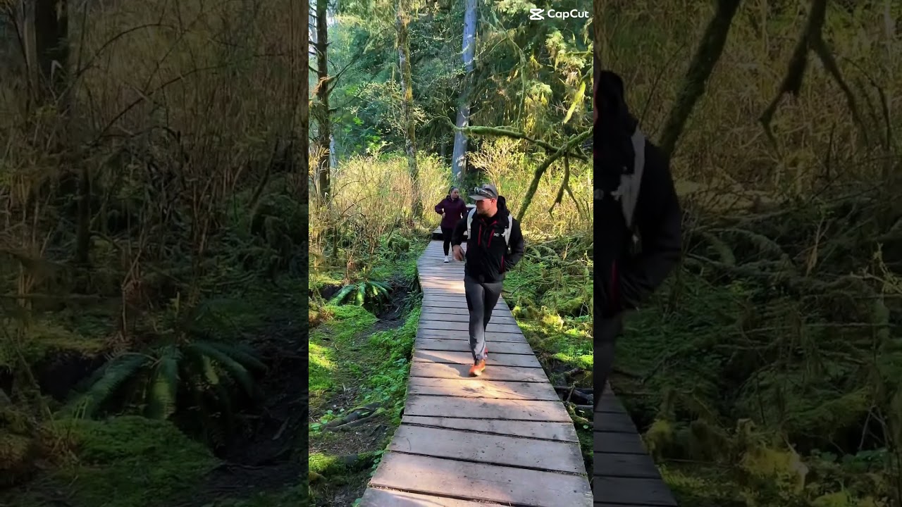 Discover Vancouver’s most beautiful spots with Breakaway Adventures. 