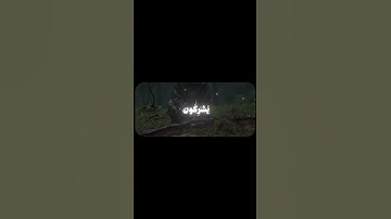 وربك يخلق ما يشآء ويختار 🤍 | سورة القصص [٦٨-٦٩] #قرآن #قران_كريم #محمد_صديق_المنشاوي