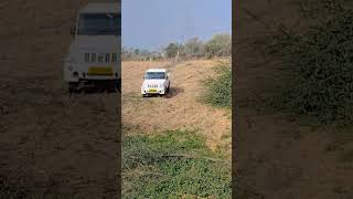 #veer teja ji  #automobile #4x4 #mahindra