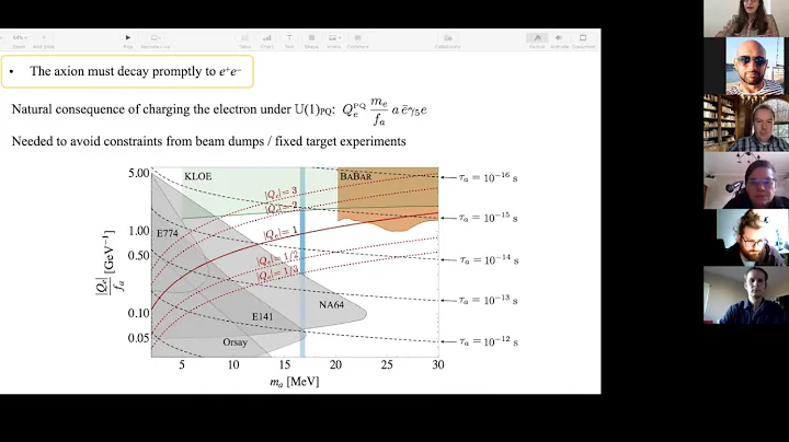 Signals of the QCD axion with mass of 17 MeV - Daniele Alves