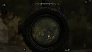 Hunt  Showdown Missing Hit-Reg? Dmg missing?