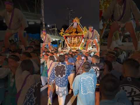 【前橋まつり2025】三山會神輿愛好會 #群馬県 #前橋市 #前橋まつり #三山會神輿愛好會