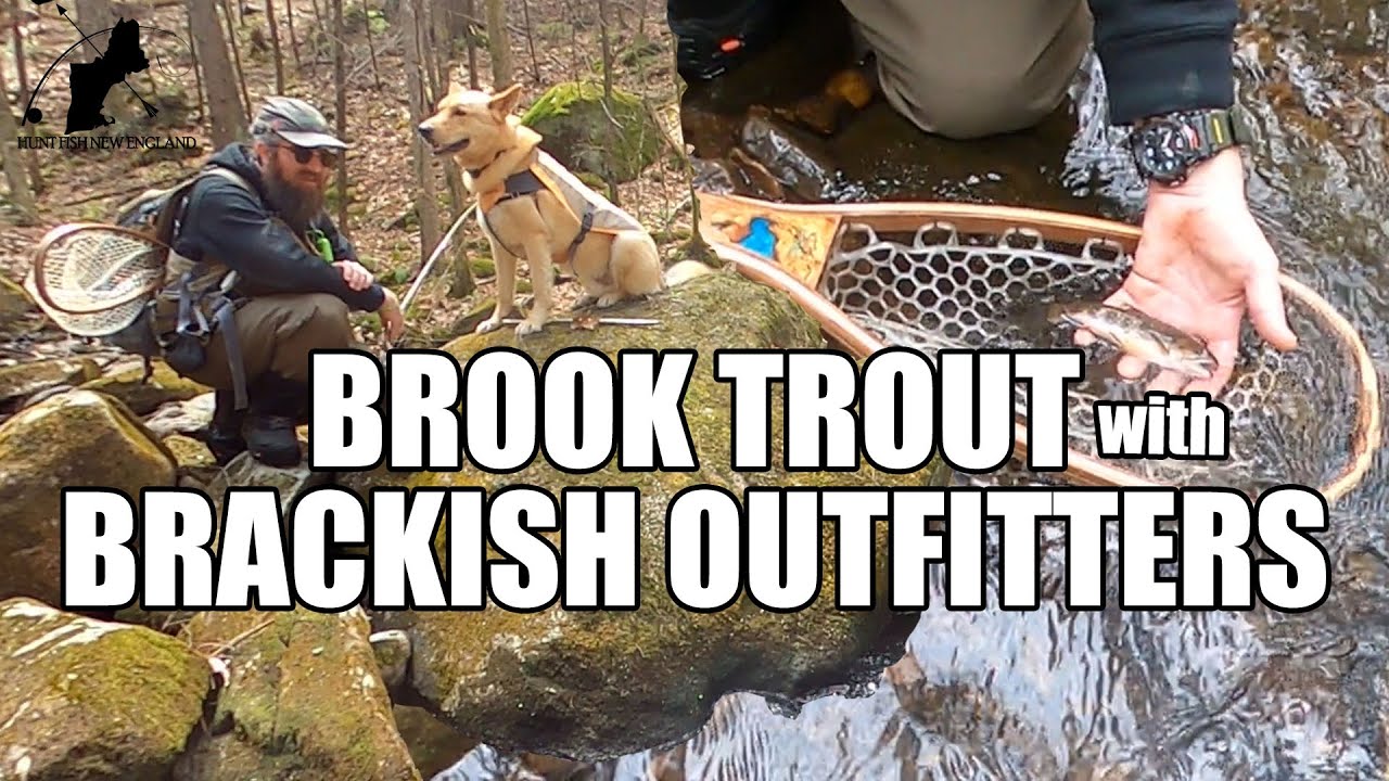 Fly Fishing for Native Brook Trout with Brackish Outfitters - YouTube