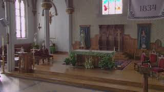 15th Sunday in Ordinary Time