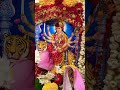 #happynavratri #indiangods #mataraniarti #matarani #jaimatadi