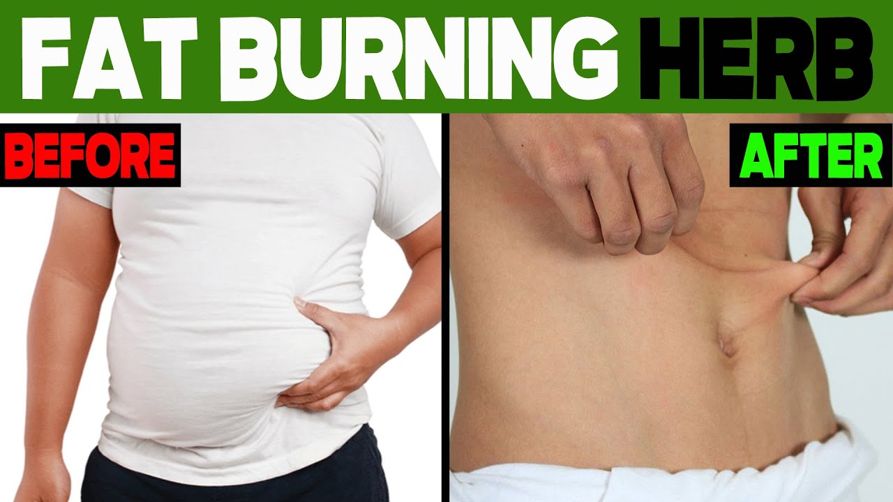 A Powerful Spice That Burns Fat And Treats Ailments YouTube