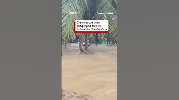 Crew rescue man clinging to tree in Indonesia floodwaters. #Indonesia #BBCNews