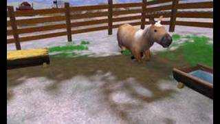 Zoo tycoon 2 Konie