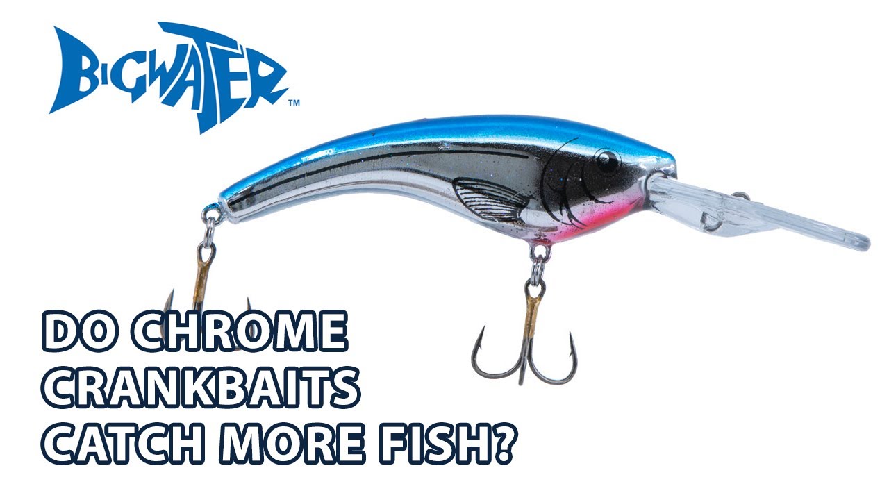 Do Chrome Crankbaits Work Best for Walleye Fishing in Lake Erie? - Bigwater  Fishing Podcast 