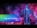 Vagus Nerve Healing Sound Frequency | Get Your Nervous System To Calm Down | Healing Nerves | 528 Hz